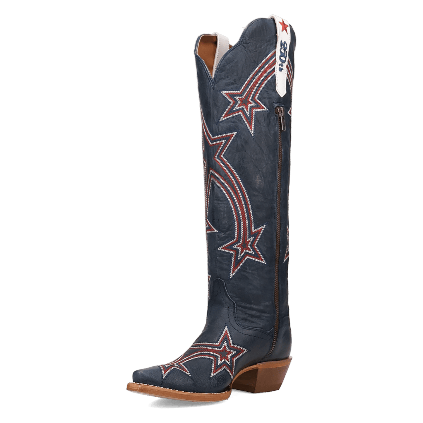 Dan Post America 250 Leather Boot