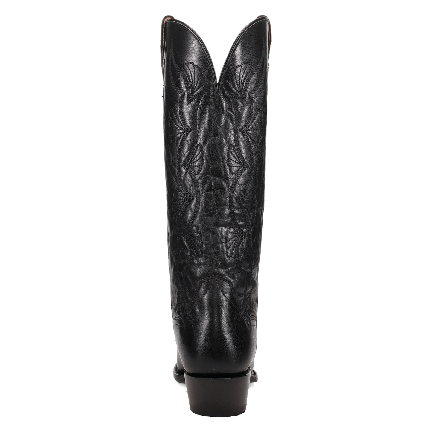 Dan Post Sunrise Canyon Leather Boot