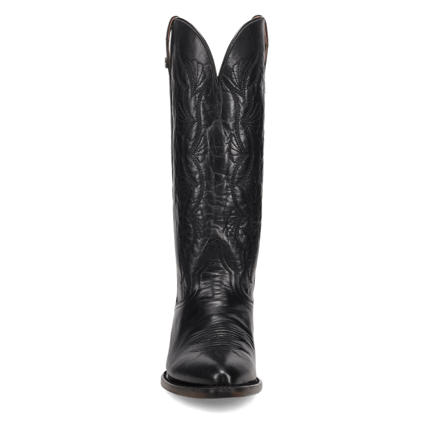 Dan Post Sunrise Canyon Leather Boot