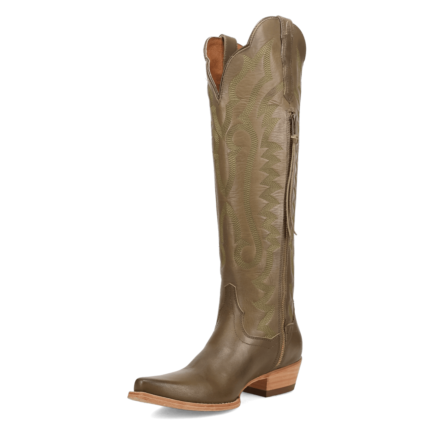 Dan Post Heartland Leather Boot