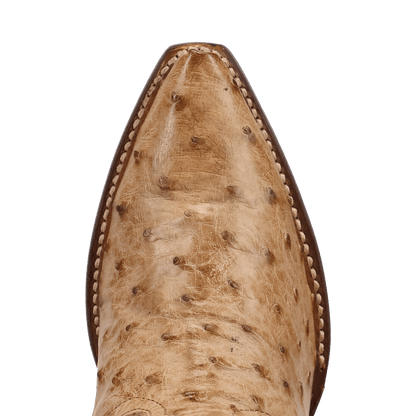 Dan Post Maravilla Full Ostrich Boot