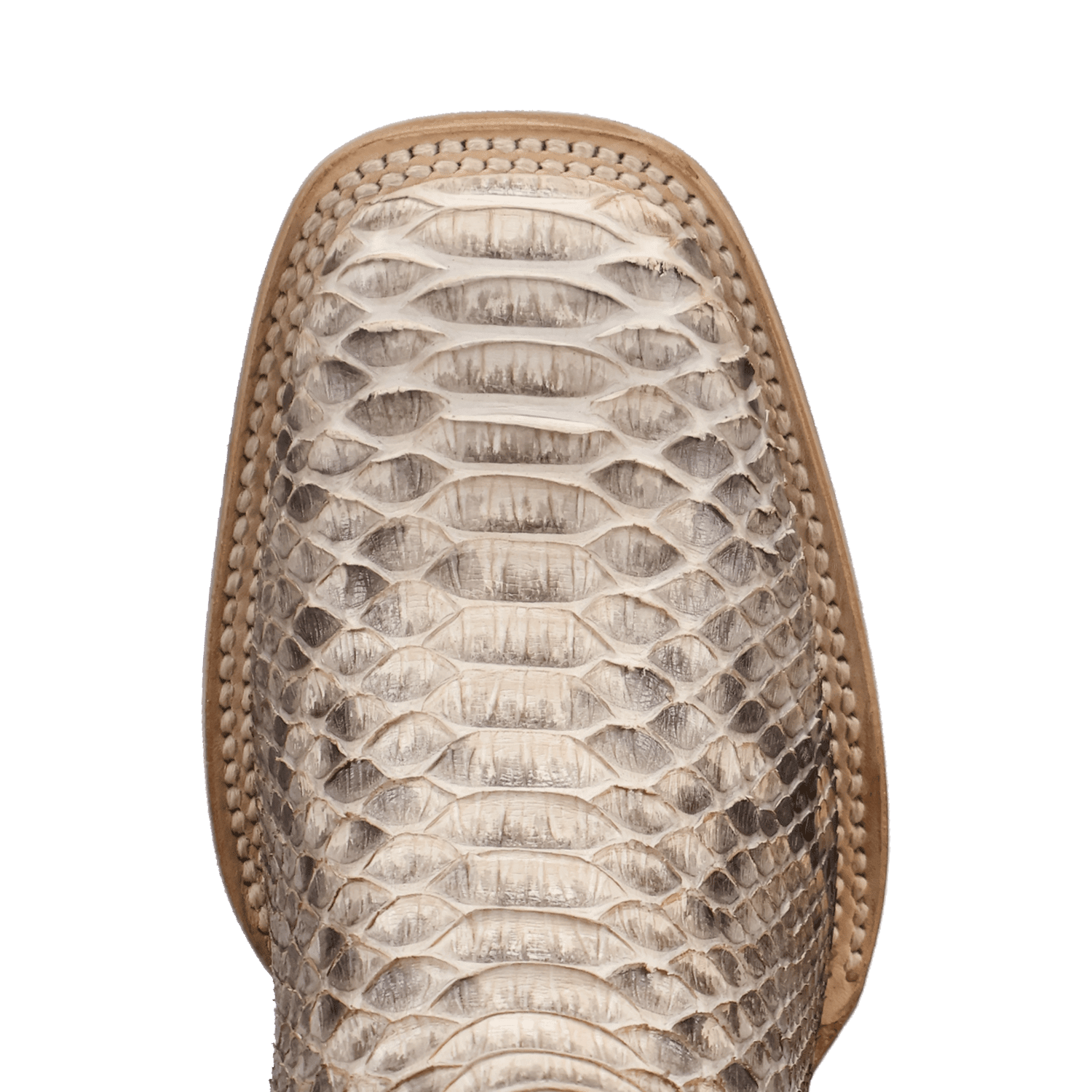 Dan Post Amara Python Boot