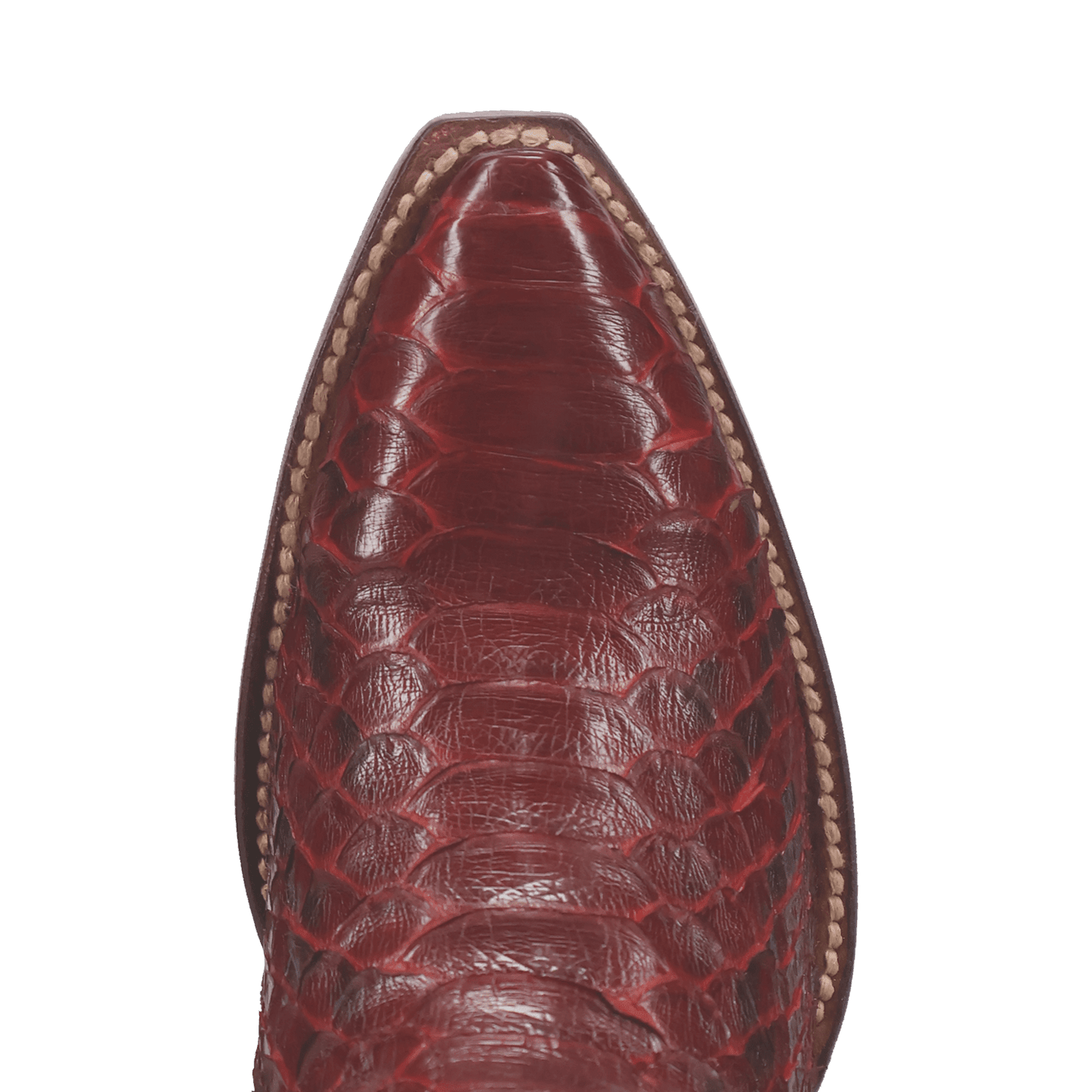 Dan Post Calvera Python Boot