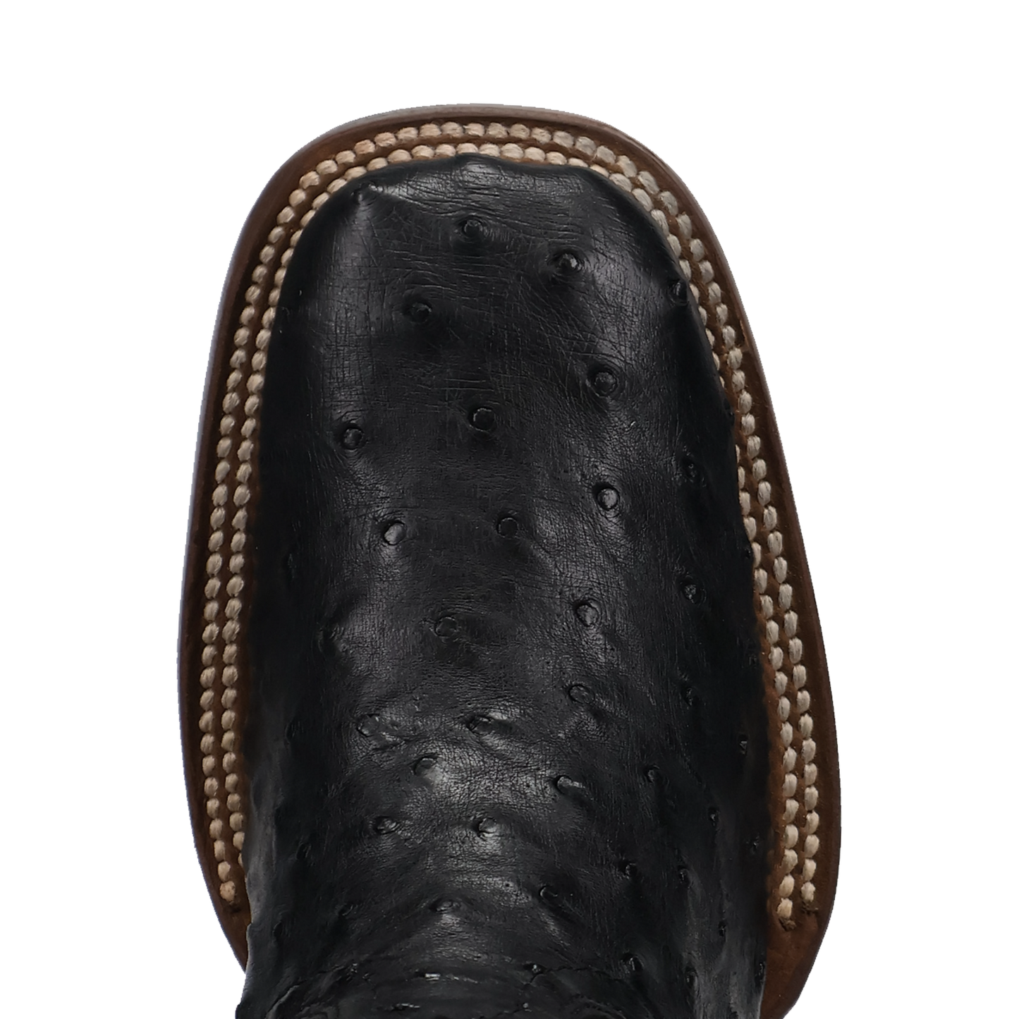 Dan Post Reese Full Quill Ostrich Boot