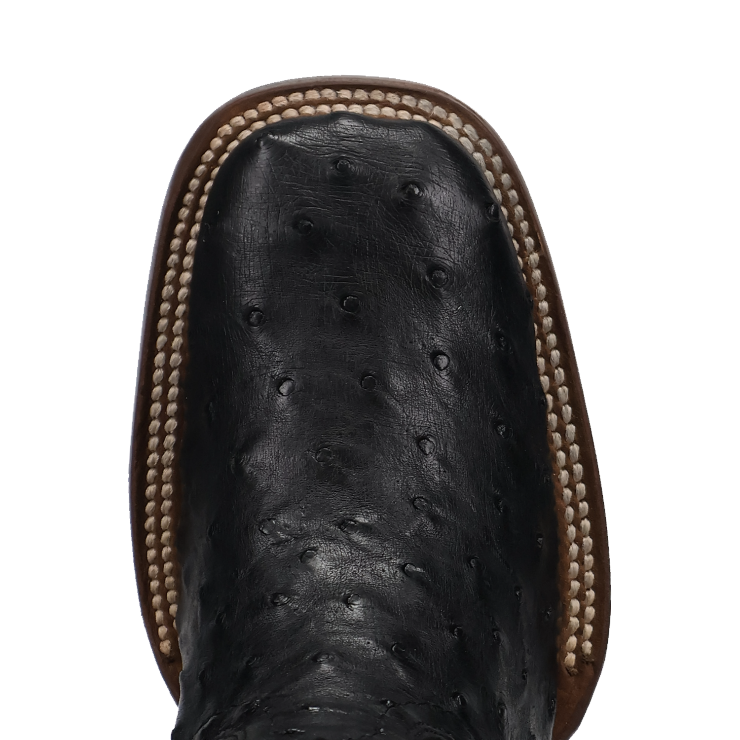 Dan Post Reese Full Quill Ostrich Boot