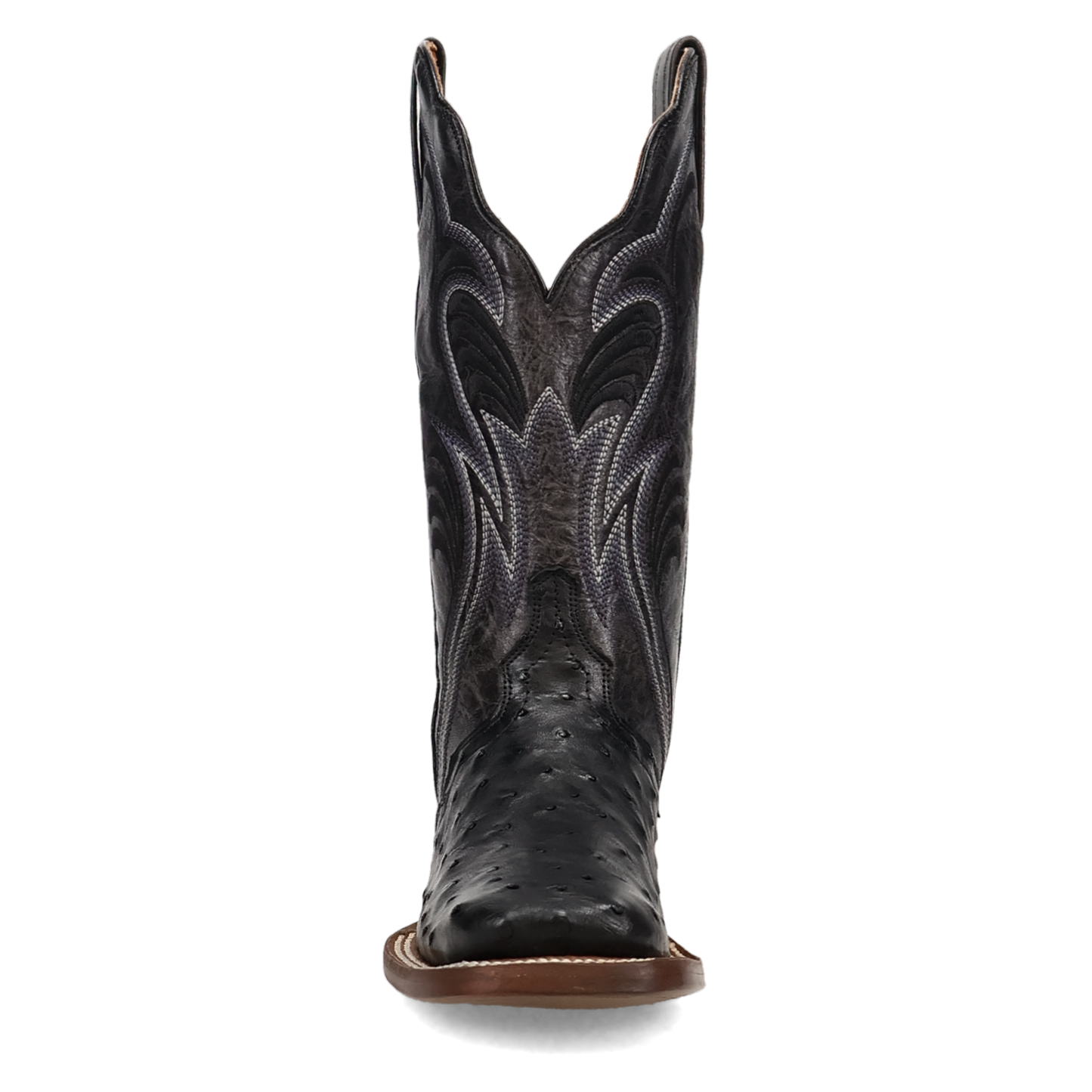 Dan Post Reese Full Quill Ostrich Boot