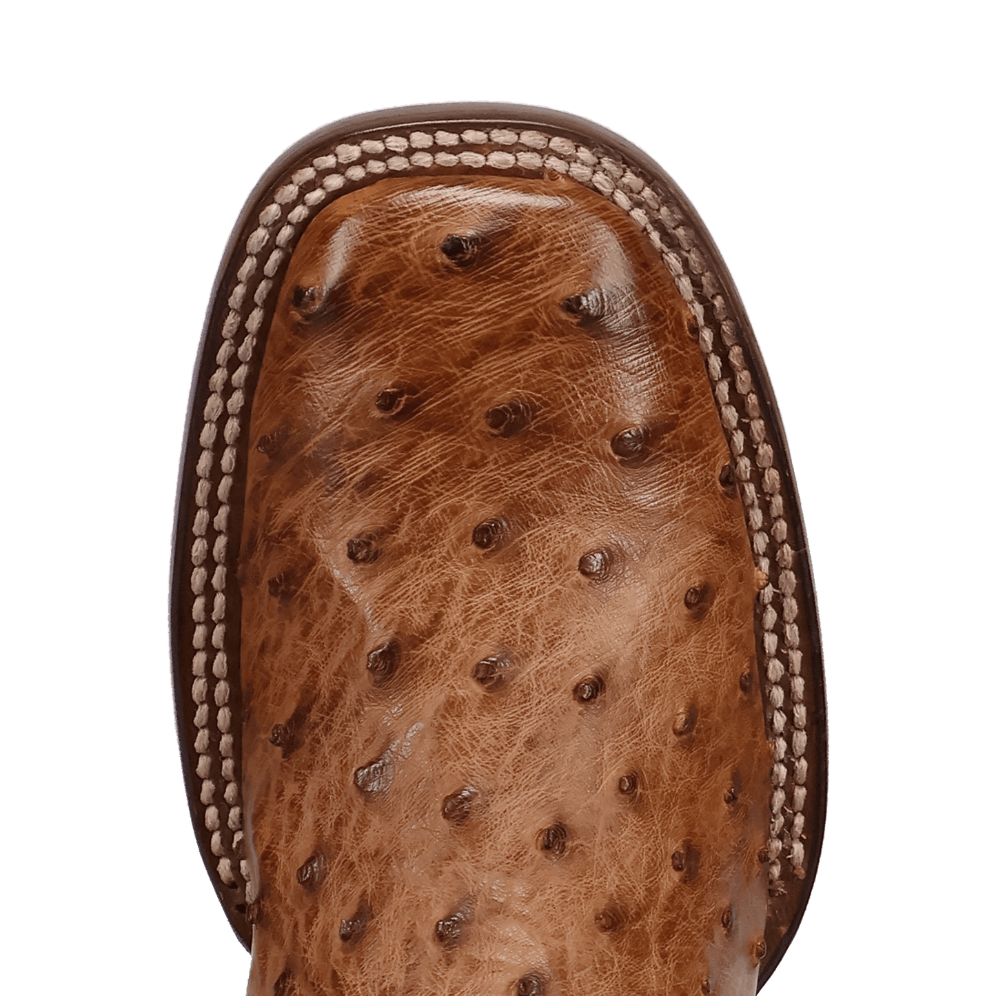 Dan Post Reese Full Quill Ostrich Boot
