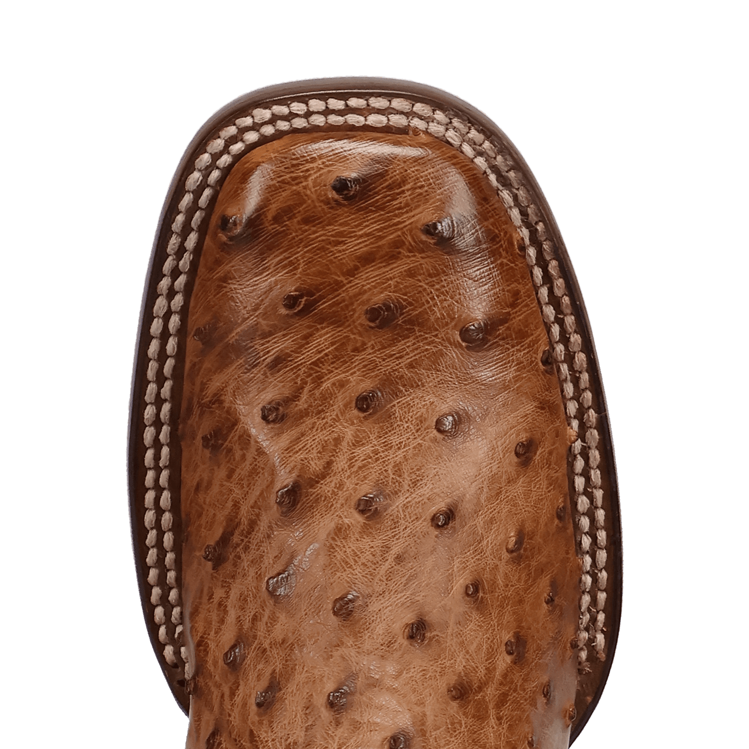 Dan Post Reese Full Quill Ostrich Boot