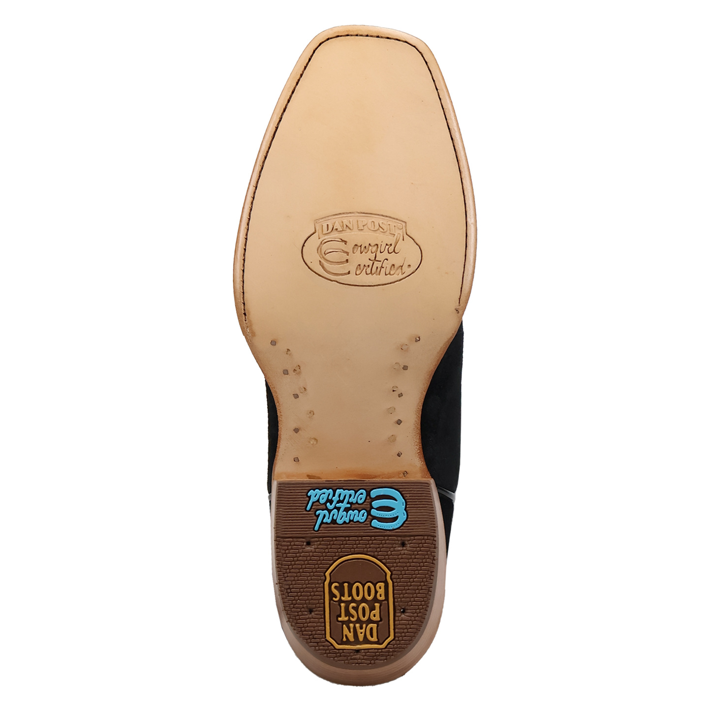 Dan Post Lanessa Leather Boot