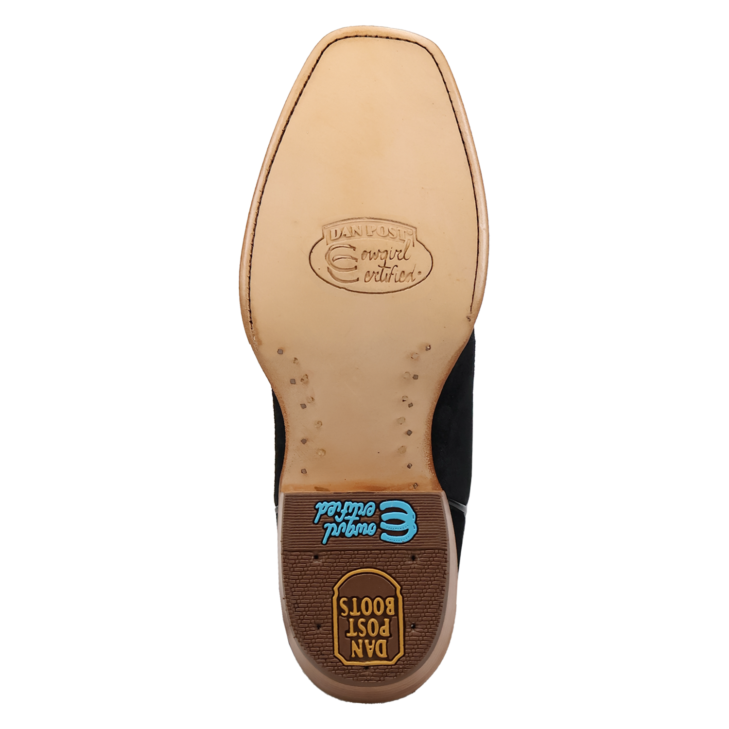 Dan Post Lanessa Leather Boot